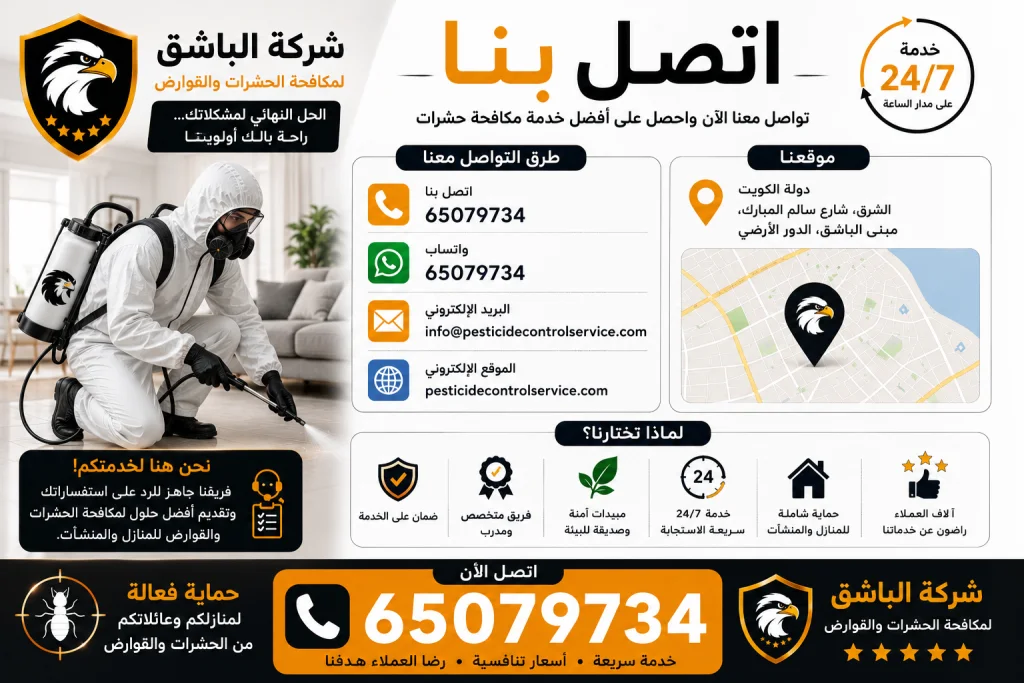 اتصل بنا